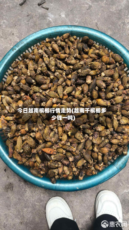 今日越南槟榔行情走势(越南干槟榔多少钱一吨)-第2张图片