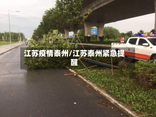 江苏疫情泰州/江苏泰州紧急提醒-第2张图片