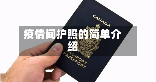 疫情间护照的简单介绍-第1张图片