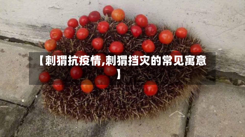 【刺猬抗疫情,刺猬挡灾的常见寓意】-第2张图片