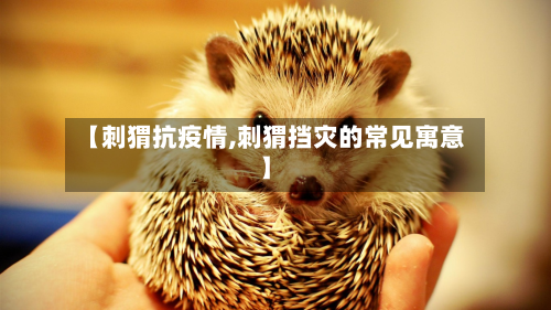 【刺猬抗疫情,刺猬挡灾的常见寓意】-第3张图片