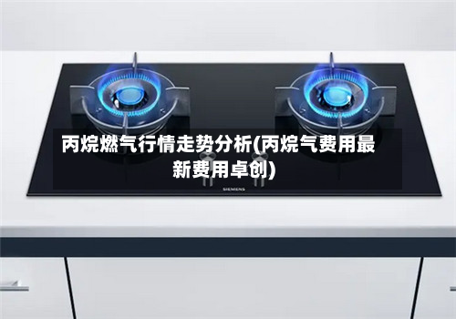 丙烷燃气行情走势分析(丙烷气费用最新费用卓创)-第1张图片