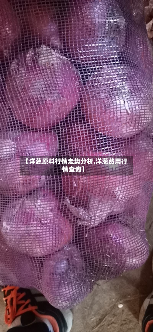 【洋葱原料行情走势分析,洋葱费用行情查询】-第2张图片