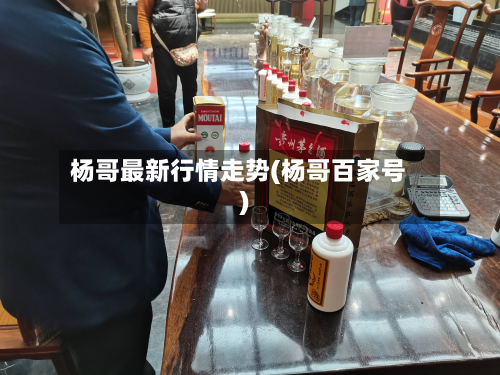 杨哥最新行情走势(杨哥百家号)-第1张图片