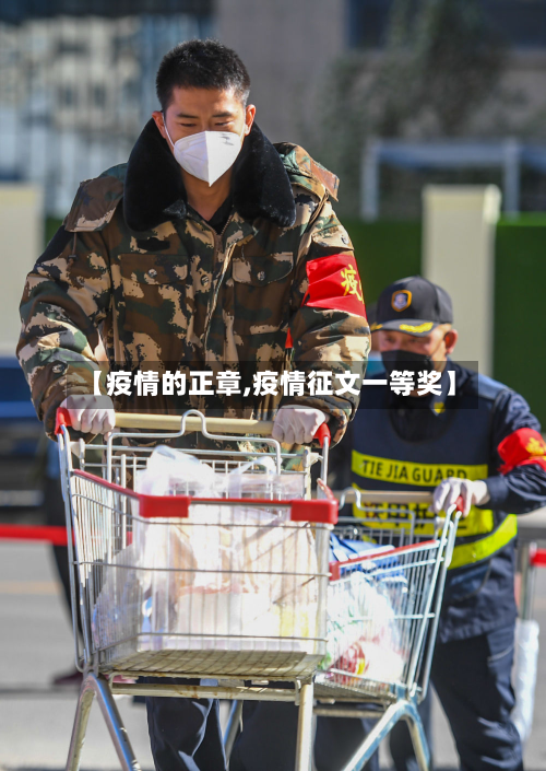 【疫情的正章,疫情征文一等奖】-第1张图片