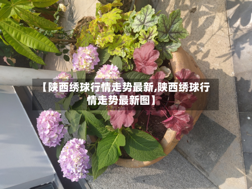 【陕西绣球行情走势最新,陕西绣球行情走势最新图】-第2张图片