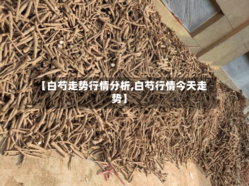 【白芍走势行情分析,白芍行情今天走势】-第3张图片