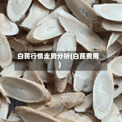 白芪行情走势分析(白芪费用)-第2张图片