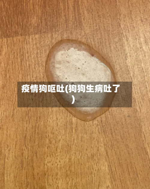 疫情狗呕吐(狗狗生病吐了)-第1张图片