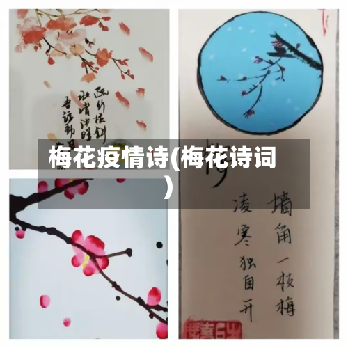 梅花疫情诗(梅花诗词)-第3张图片