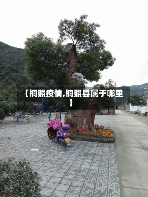 【桐照疫情,桐照县属于哪里】-第1张图片