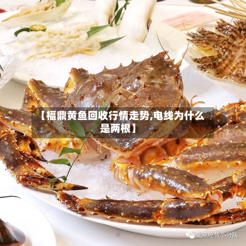 【福鼎黄鱼回收行情走势,电线为什么是两根】-第1张图片