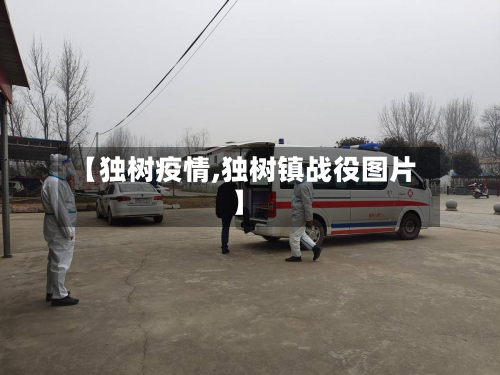 【独树疫情,独树镇战役图片】-第1张图片