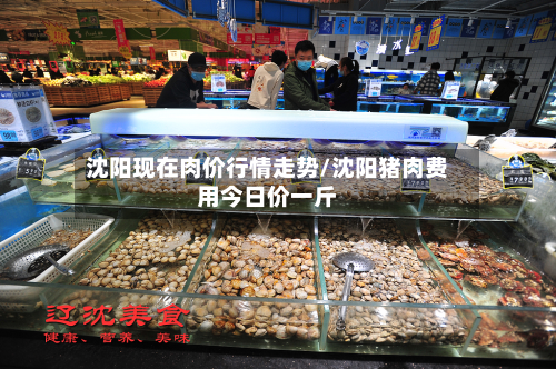 沈阳现在肉价行情走势/沈阳猪肉费用今日价一斤-第2张图片