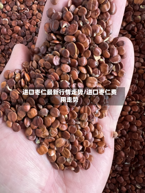 进口枣仁最新行情走势/进口枣仁费用走势-第1张图片