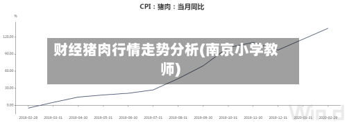 财经猪肉行情走势分析(南京小学教师)-第1张图片