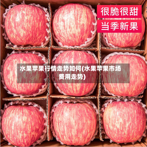 水果苹果行情走势如何(水果苹果市场费用走势)-第1张图片