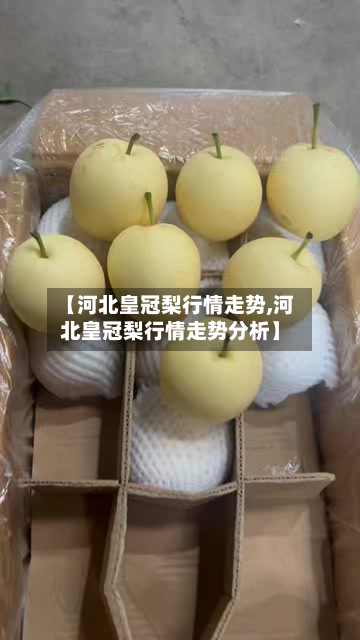 【河北皇冠梨行情走势,河北皇冠梨行情走势分析】-第1张图片