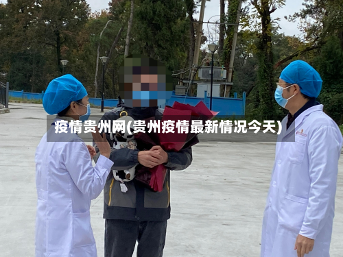 疫情贵州网(贵州疫情最新情况今天)-第2张图片