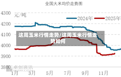 这周玉米行情走势/这周玉米行情走势如何-第1张图片