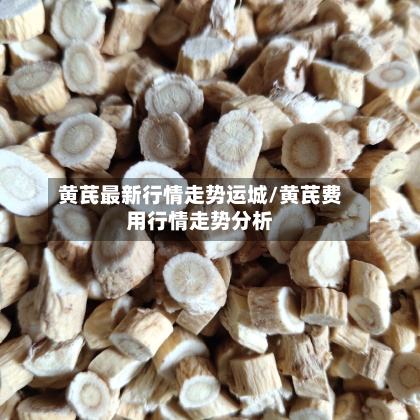 黄芪最新行情走势运城/黄芪费用行情走势分析-第2张图片