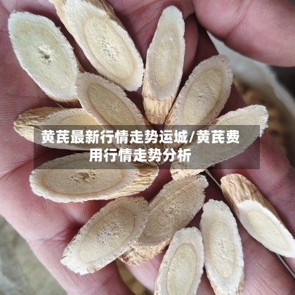 黄芪最新行情走势运城/黄芪费用行情走势分析-第1张图片