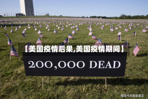 【美国疫情后果,美国疫情期间】-第3张图片