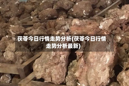 茯苓今日行情走势分析(茯苓今日行情走势分析最新)-第1张图片