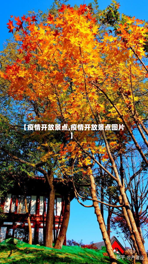 【疫情开放景点,疫情开放景点图片】-第1张图片