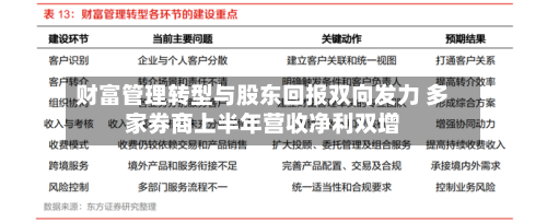 财富管理转型与股东回报双向发力 多家券商上半年营收净利双增-第3张图片