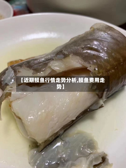 【近期鳗鱼行情走势分析,鳗鱼费用走势】-第3张图片