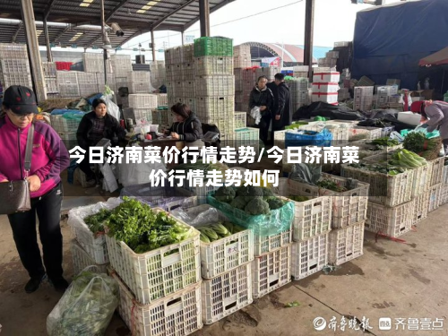 今日济南菜价行情走势/今日济南菜价行情走势如何-第2张图片