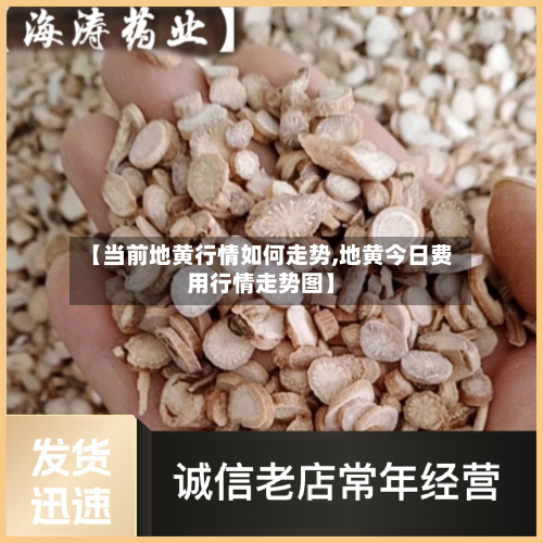 【当前地黄行情如何走势,地黄今日费用行情走势图】-第2张图片
