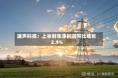 瑞声科技:上半财年净利润同比增长2.9%-第3张图片