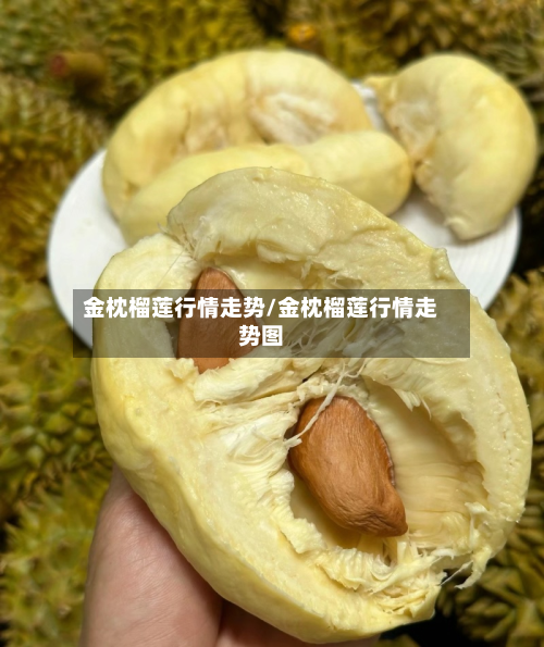金枕榴莲行情走势/金枕榴莲行情走势图-第1张图片