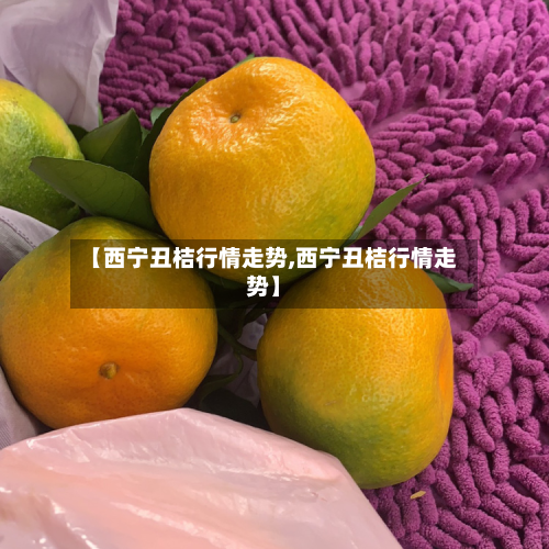 【西宁丑桔行情走势,西宁丑桔行情走势】-第3张图片