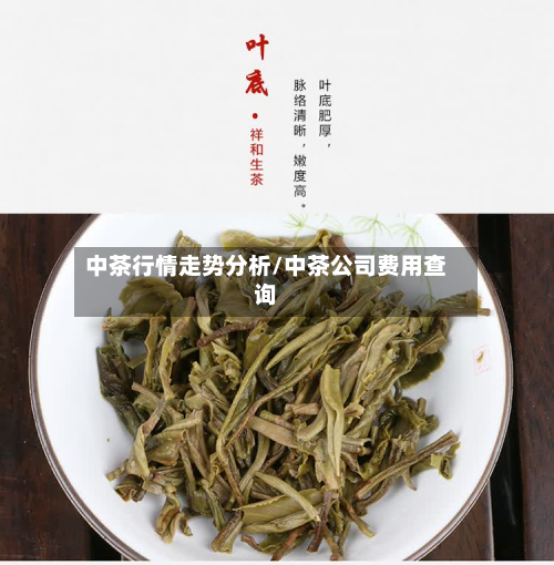 中茶行情走势分析/中茶公司费用查询-第1张图片