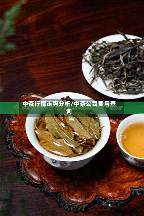 中茶行情走势分析/中茶公司费用查询-第2张图片
