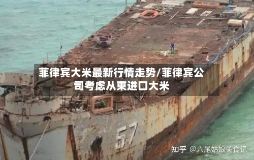 菲律宾大米最新行情走势/菲律宾公司考虑从柬进口大米-第2张图片