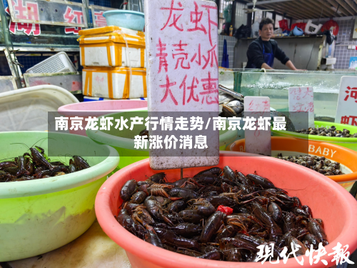 南京龙虾水产行情走势/南京龙虾最新涨价消息-第1张图片