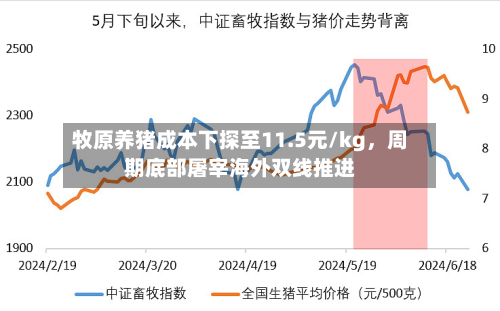 牧原养猪成本下探至11.5元/kg	，周期底部屠宰海外双线推进-第1张图片