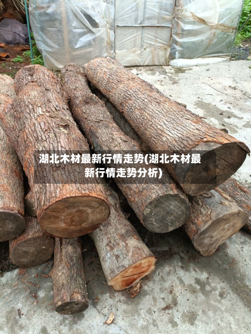 湖北木材最新行情走势(湖北木材最新行情走势分析)-第1张图片
