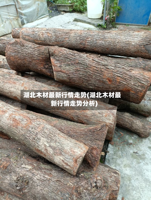 湖北木材最新行情走势(湖北木材最新行情走势分析)-第2张图片