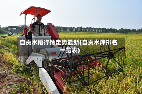 自贡水稻行情走势最新(自贡水库排名一览表)-第2张图片