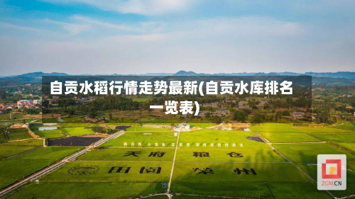 自贡水稻行情走势最新(自贡水库排名一览表)-第1张图片