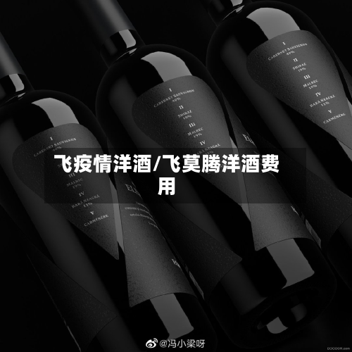 飞疫情洋酒/飞莫腾洋酒费用-第1张图片