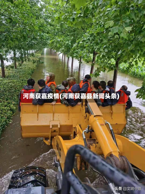 河南获嘉疫情(河南获嘉县新闻头条)-第3张图片