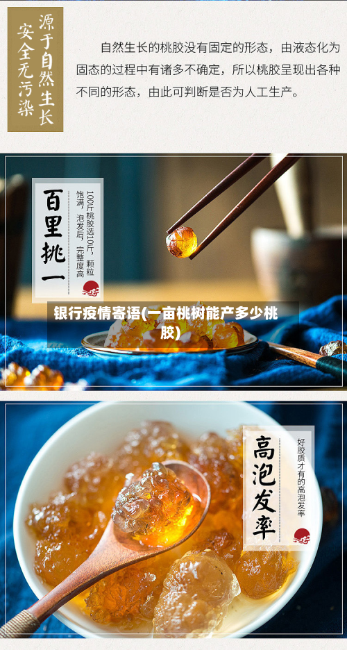 银行疫情寄语(一亩桃树能产多少桃胶)-第2张图片