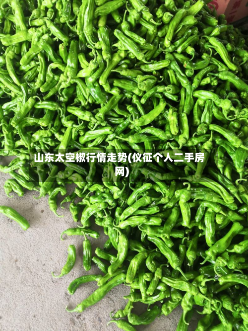 山东太空椒行情走势(仪征个人二手房网)-第3张图片