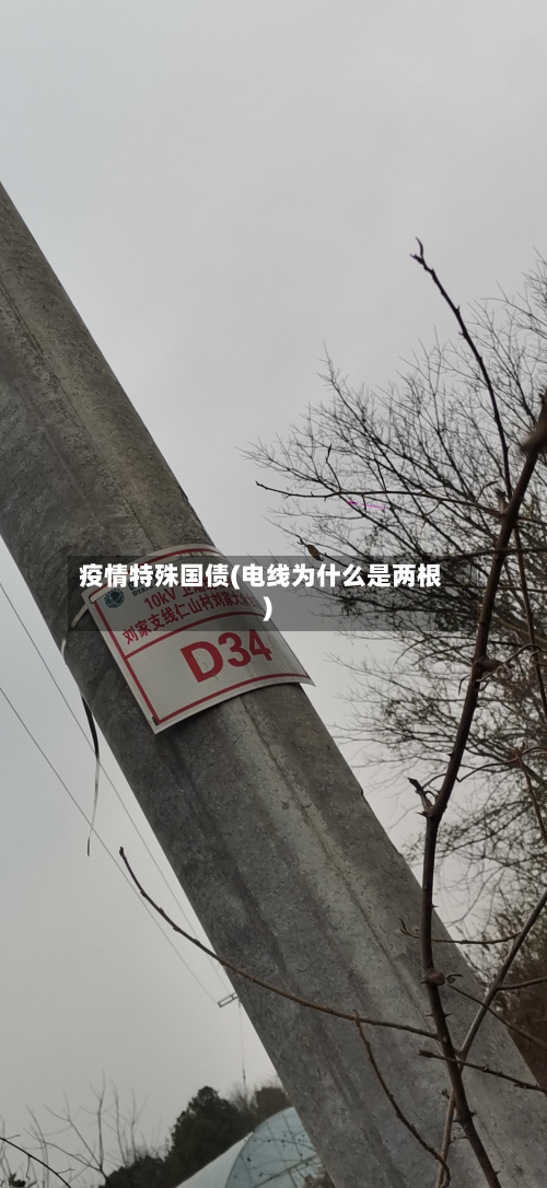 疫情特殊国债(电线为什么是两根)-第1张图片